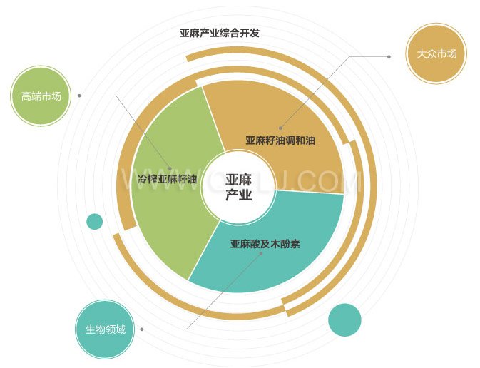 低溫冷榨亞麻籽油設(shè)備 開亞麻籽油廠 胡麻籽油精煉成套設(shè)備(圖6)